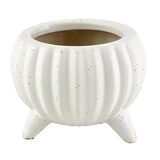 FR 47th DOT CREAM PLANTER