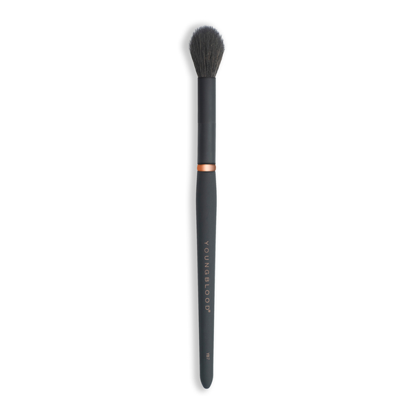 YB7 Highlight Brush