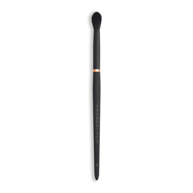 YB8 Tapered Blending Brush
