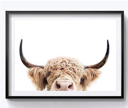Art-Highland Cow