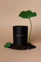 Blk Rose Candle - Nina