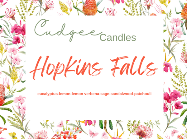 Hopkins Falls