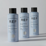 Dry Shampoo N.204 200mL