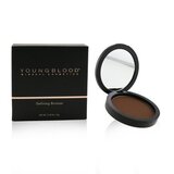 Defining Bronzer - Truffle