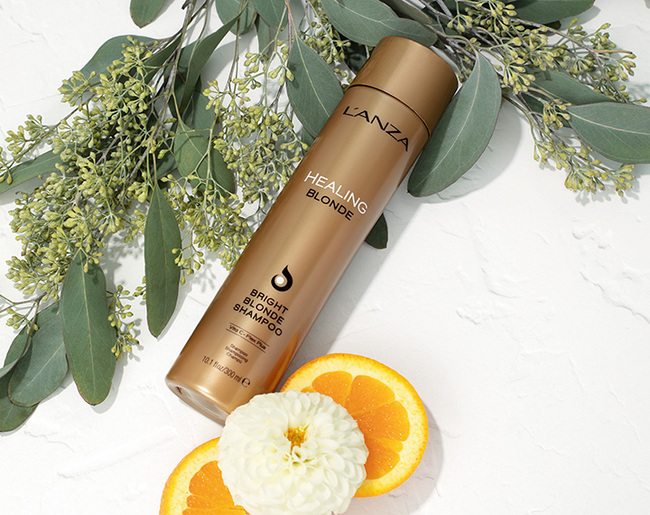 Blonde Bright Blonde Shampoo
