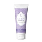 curl renew shampoo 8oz
