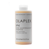 No 4 Shampoo