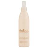 Everything Spray Leave-In Conditioner