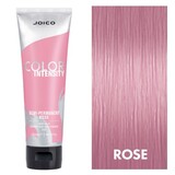 Color Intensity Rose