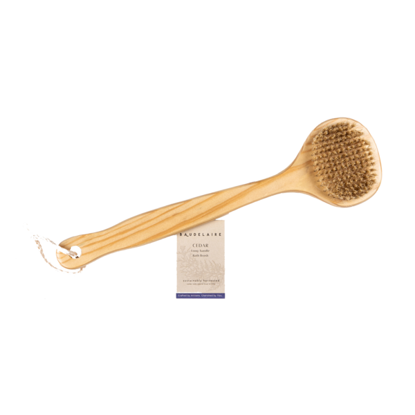 Cedar Long Handled Dry Brush
