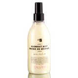 Oligo Express Blowout Mist