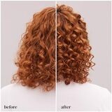 Advanced Climate Control All-in-1 Leave in Conditioner