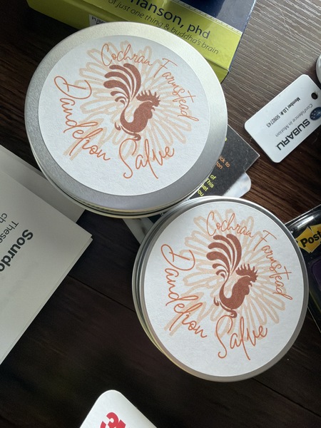 Dandelion Salve