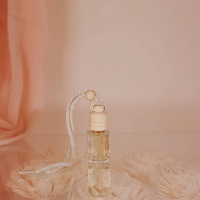 FR BLUSH+NAVY HANGING DIFFUSER