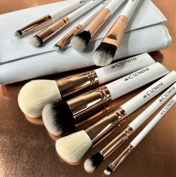 10 PC PRO BRUSH SET