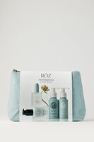 Roz Mini Essentials Kit - Seaglass