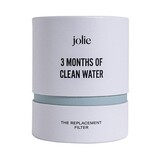 Replacement Filter