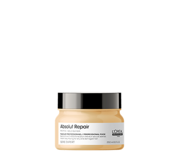 Absolut Repair Masque