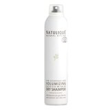 Anti Pollutive Dry Shampoo