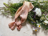 Ballet Silk Bandana