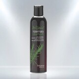Rosemary Shampoo 8oz.