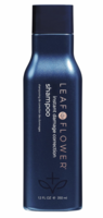 CBD Instant Damage Correction Shampoo