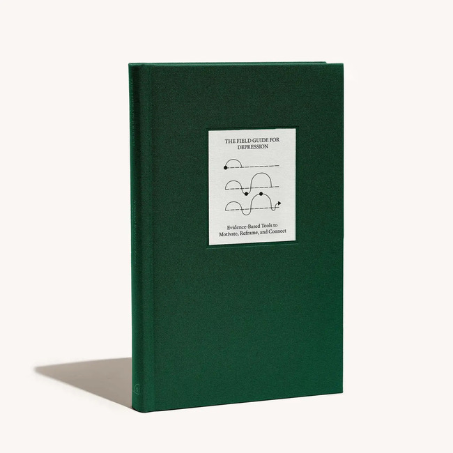 The Depression Guidebook