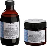 Alchemic Silver Conditioner Travel