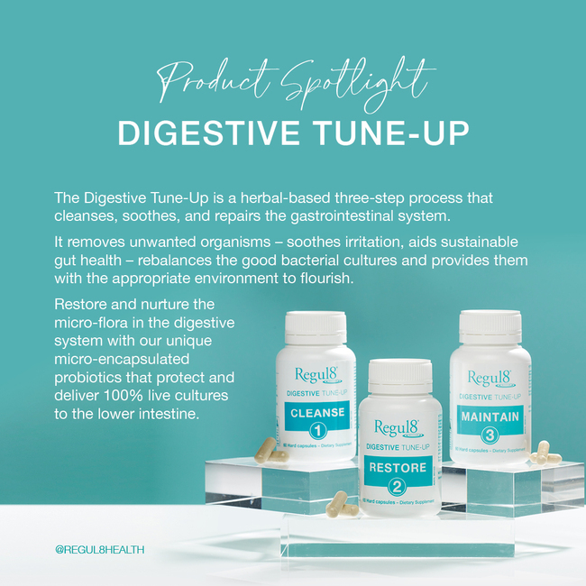 Digestive Tune Up 3pk Cleanse Restore Maintain