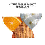 Invigo Colour Brilliance Shampoo