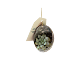 Air plant