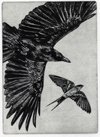 Vienneau- The Swallow and The Crow