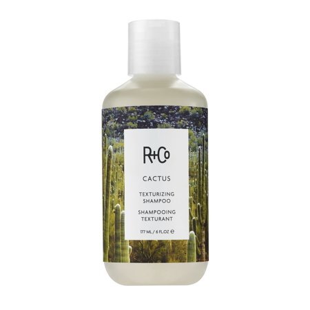 R+Co CACTUS Texturizing Shampoo 