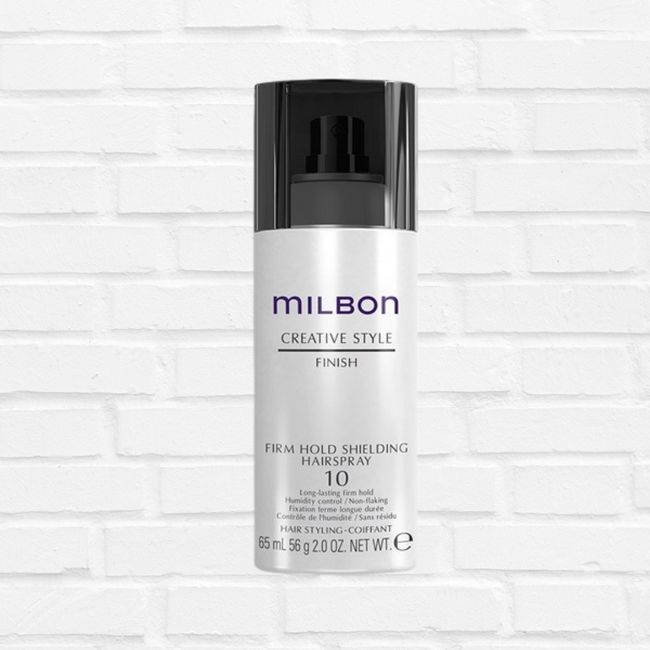 CREATIVE STYLE - FINISH Firm Hold Shielding Hairspray 10