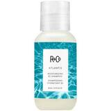 ATLANTIS - Moisturising B5 Shampoo Travel Size