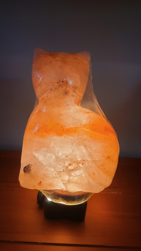 Cat Salt Lamp