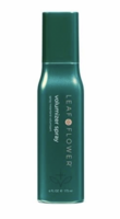 CBD Instant Volumizer Spray