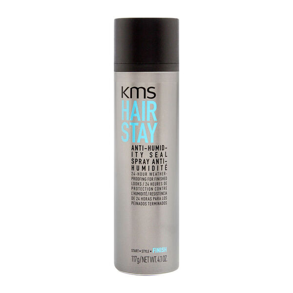 HAIR STAY anit-humidity seal spray 117g