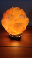 Succulent Salt Lamp