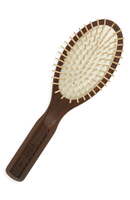 CX1 Scalp Brush