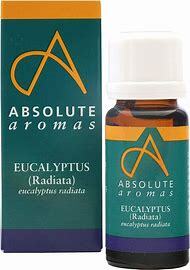 Eucalytpus Essential Oil