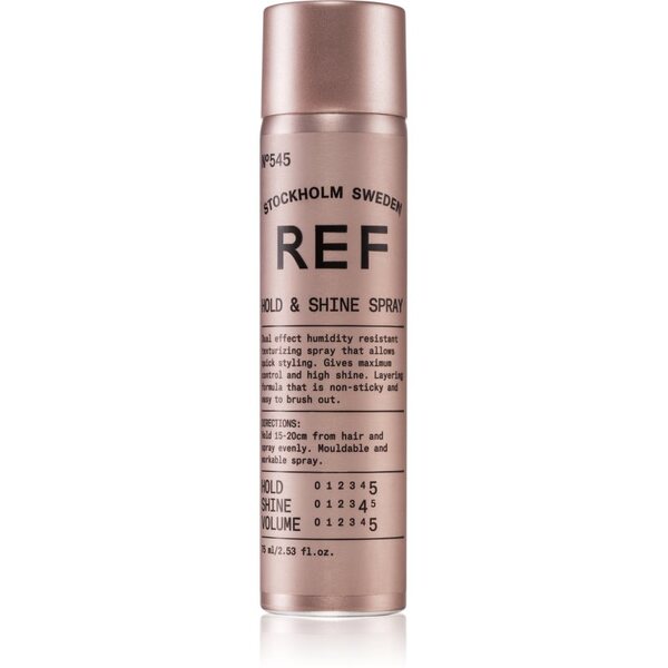Hold & Shine Spray No. 545