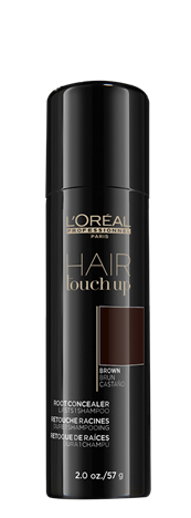  Loreal Hair Touch Up Brown