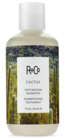 R+CO CACTUS