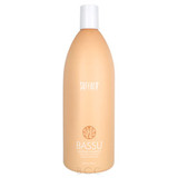 Bassu Shampoo Liter