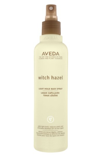 Witch Hazel 