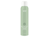 Blowout Texture Spray