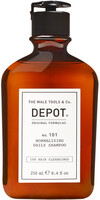 101 Normalizing Daily Shampoo