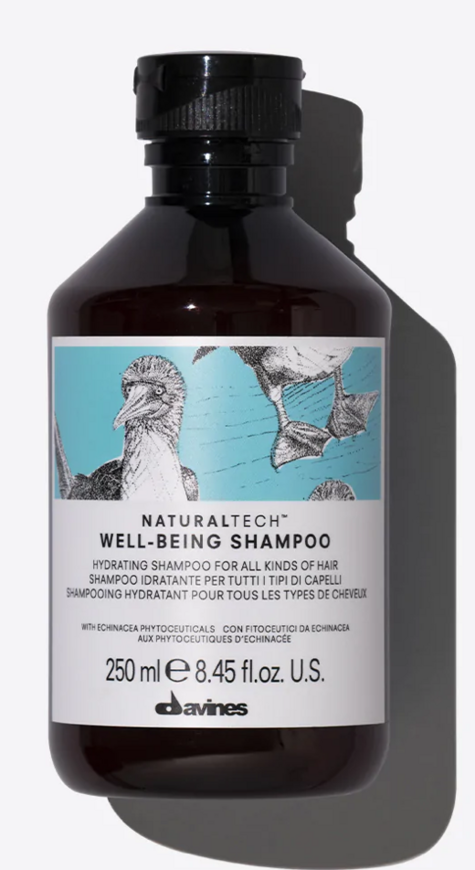 NATURALTECH / Wellbeing Shampoo