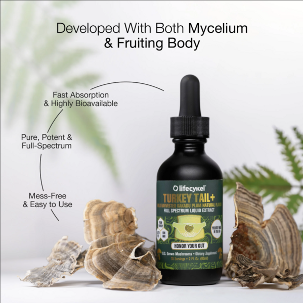 Turkey Tail Mushroom Extract (60ml)